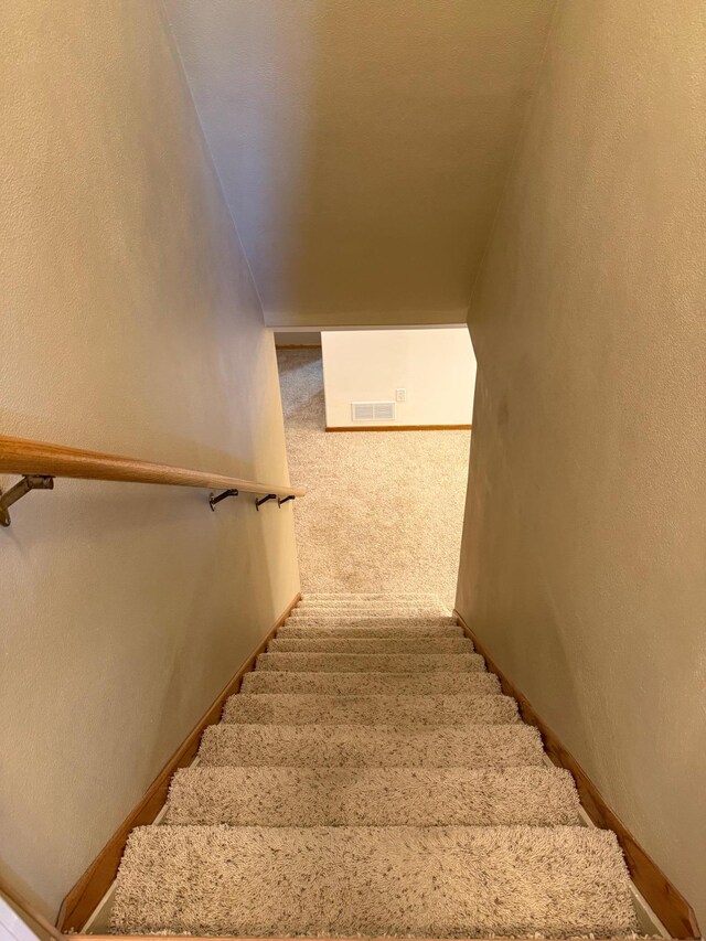stairway featuring carpet floors