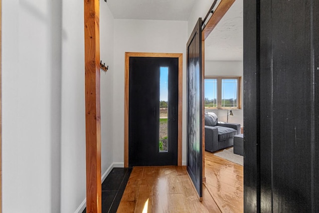 20355 Cedar Lake Trl, Shieldsville Twp, MN 55052 - doorway featuring a barn door, hardwood / wood-style flooring, healthy amount of natural light, and baseboards