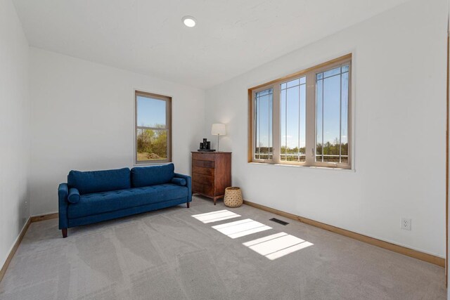 20355 Cedar Lake Trl, Shieldsville Twp, MN 55052 - living area featuring carpet floors and baseboards