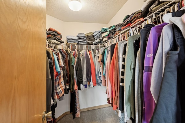 8260 Parkington Ave NE, Otsego, MN 55330 - walk in closet with carpet flooring