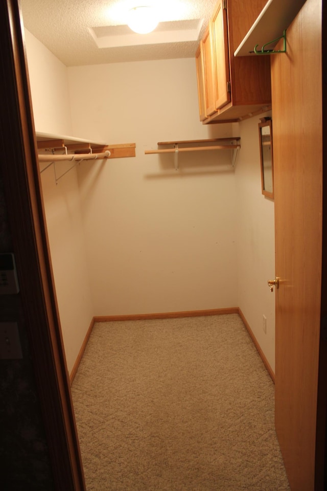 walk in closet with light carpet