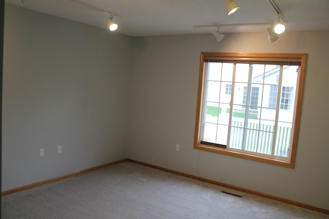 empty room with track lighting, plenty of natural light, carpet, and baseboards