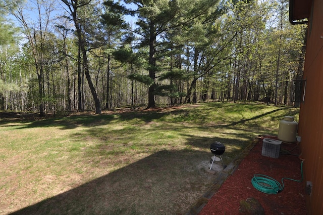view of green lawn