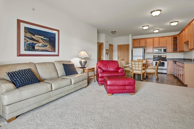 1215 Lakeshore Dr Unit 207, Lake City, MN 55041 - living room featuring dark colored carpet