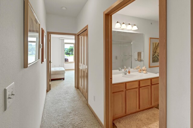 1215 Lakeshore Dr Unit 207, Lake City, MN 55041 - hallway featuring light colored carpet and a sink