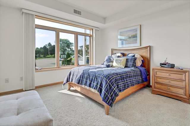 1215 Lakeshore Dr Unit 207, Lake City, MN 55041 - bedroom featuring carpet and baseboards