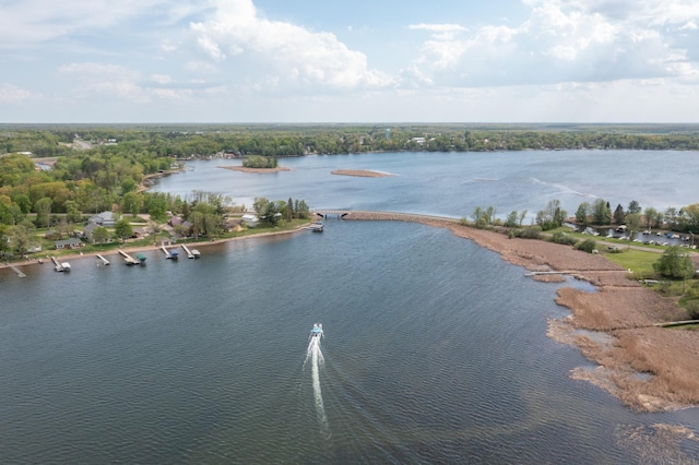 1900 White Cloud Dr E, Isle, MN 56342 - bird's eye view of a nearby body of water