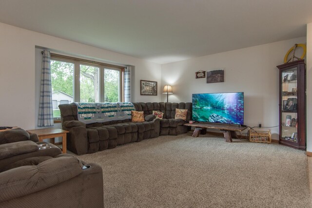 1900 White Cloud Dr E, Isle, MN 56342 - living room featuring carpet flooring