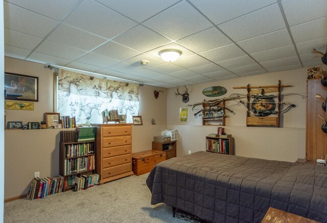1900 White Cloud Dr E, Isle, MN 56342 - carpeted bedroom with a paneled ceiling