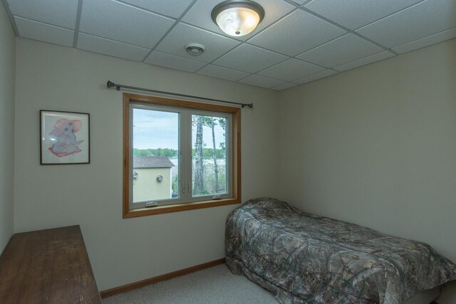 1900 White Cloud Dr E, Isle, MN 56342 - bedroom featuring carpet floors, a paneled ceiling, and baseboards