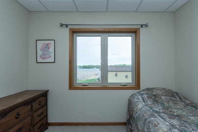 1900 White Cloud Dr E, Isle, MN 56342 - carpeted bedroom featuring baseboards and a drop ceiling
