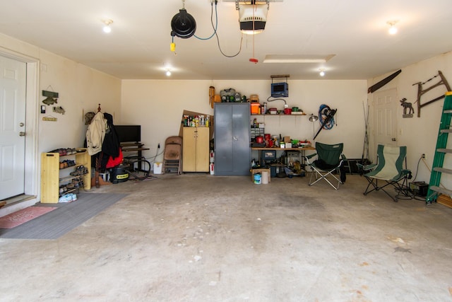 1900 White Cloud Dr E, Isle, MN 56342 - garage featuring a garage door opener and a workshop area