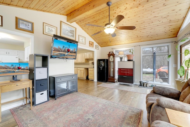 W12798 State Road 35, Prescott, WI 54021 - living room featuring wooden ceiling, light wood-style flooring, and ceiling fan