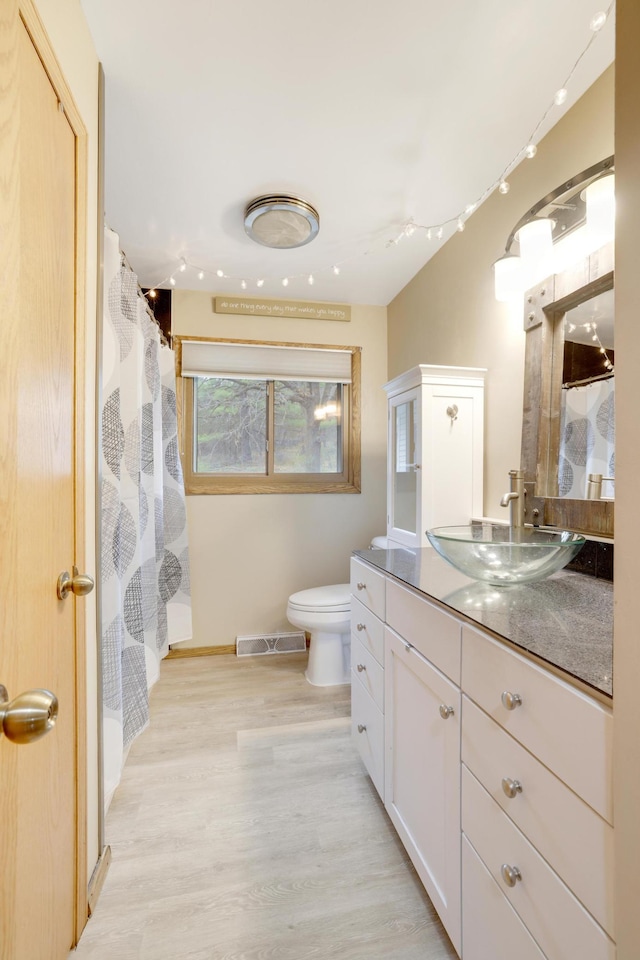 W12798 State Road 35, Prescott, WI 54021 - full bath featuring toilet, wood finished floors, vanity, baseboards, and a shower with shower curtain