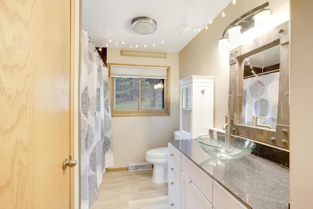 W12798 State Road 35, Prescott, WI 54021 - bathroom with toilet, wood finished floors, vanity, baseboards, and a shower with shower curtain