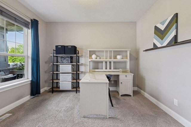 3742 Crane Island Ct, Minnetrista, MN 55331 - office featuring light colored carpet and baseboards