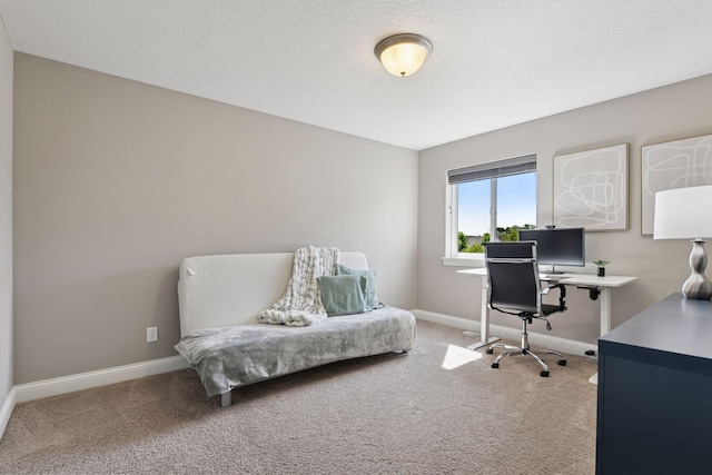 3742 Crane Island Ct, Minnetrista, MN 55331 - carpeted home office with baseboards