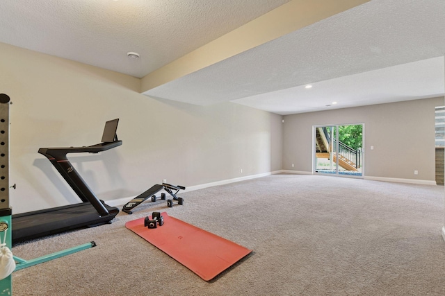 3742 Crane Island Ct, Minnetrista, MN 55331 - exercise room featuring baseboards, a textured ceiling, and carpet floors