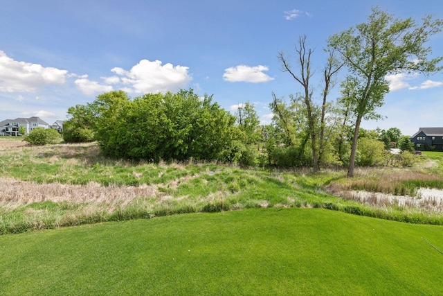 3742 Crane Island Ct, Minnetrista, MN 55331 - view of yard
