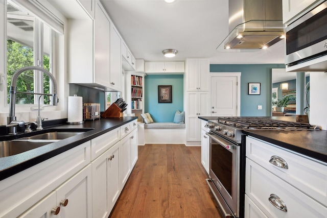 kitchen featuring appliances with stainless steel finishes, ventilation hood, a sink, dark countertops, and white cabinets