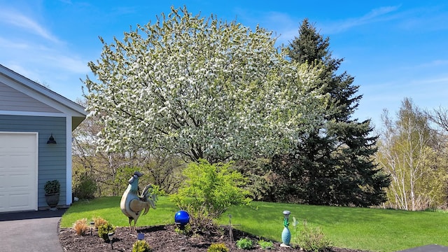 view of green lawn