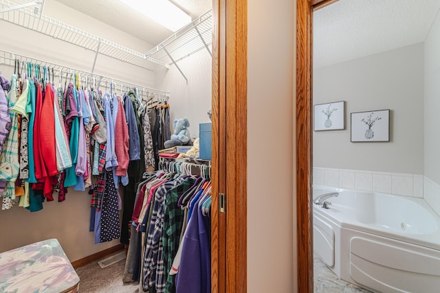 17081 Pheasant Meadow Ln SW, Prior Lake, MN 55372 - view of walk in closet