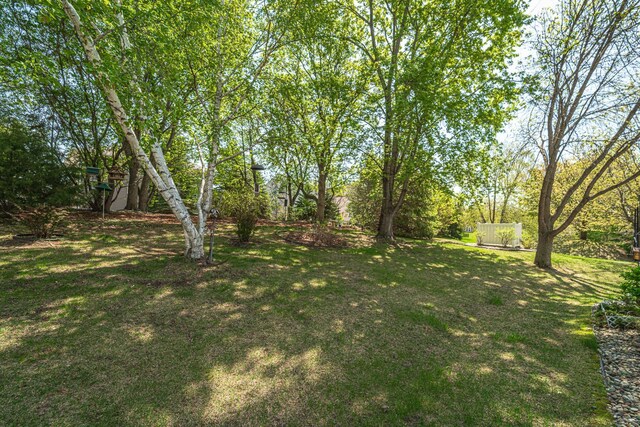17081 Pheasant Meadow Ln SW, Prior Lake, MN 55372 - view of green lawn