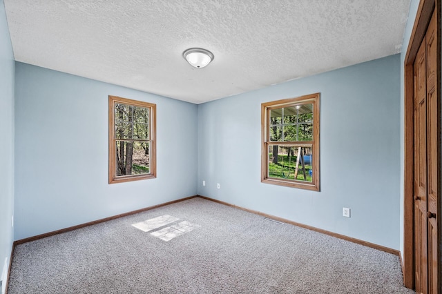 7349 Variolite Dr NW, Stanford Twp, MN 55398 - spare room with carpet, healthy amount of natural light, baseboards, and a textured ceiling