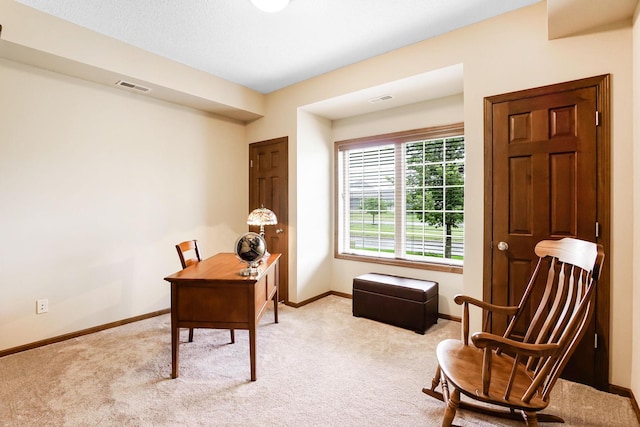8713 9th Pl N, Lake Elmo, MN 55042 - office featuring light carpet and baseboards