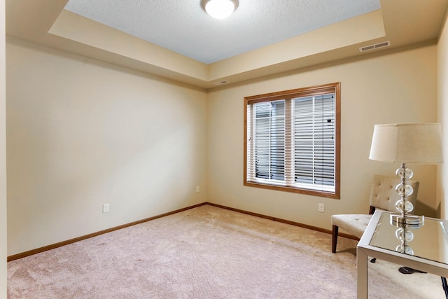 8713 9th Pl N, Lake Elmo, MN 55042 - unfurnished room featuring carpet floors, a textured ceiling, and a tray ceiling