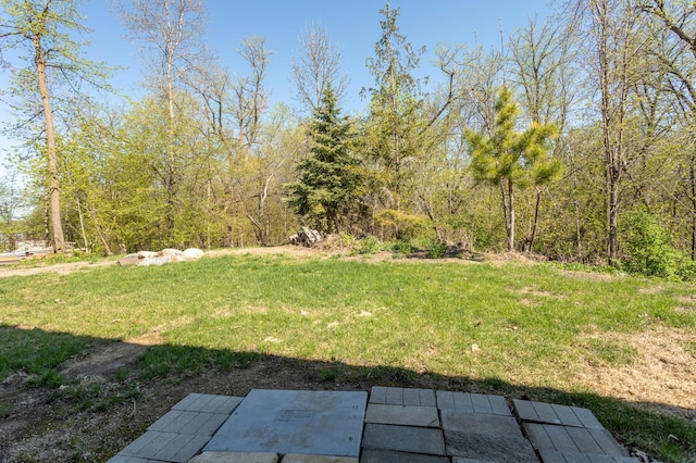 3391 Little Ida Beach Rd NW, Alexandria, MN 56308 - view of green lawn