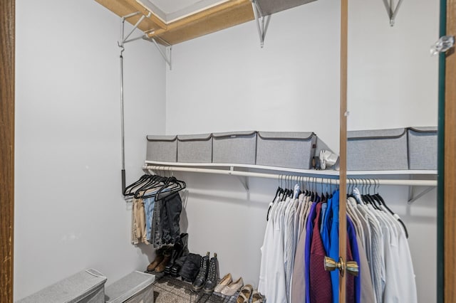 1811 Elliot Ave Unit 2, Minneapolis, MN 55404 - view of spacious closet