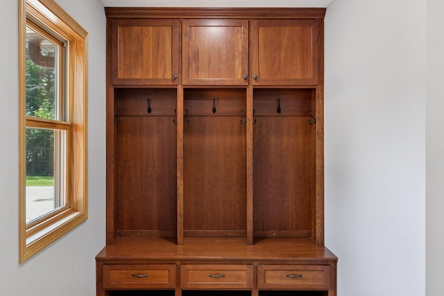 14530 Jonathan Carver Pkwy, Carver, MN 55315 - mudroom with plenty of natural light