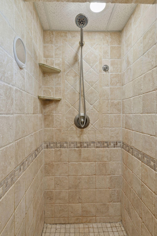 14530 Jonathan Carver Pkwy, Carver, MN 55315 - bathroom featuring a tile shower