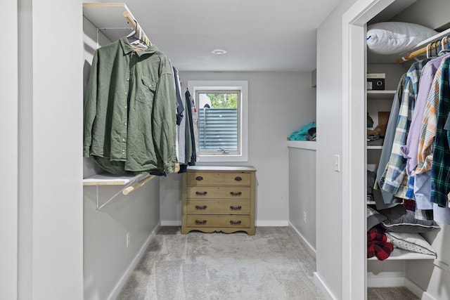 14530 Jonathan Carver Pkwy, Carver, MN 55315 - spacious closet with carpet