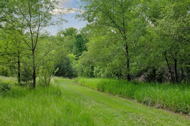 14530 Jonathan Carver Pkwy, Carver, MN 55315 - view of wooded area
