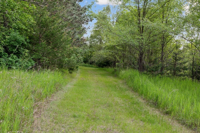 14530 Jonathan Carver Pkwy, Carver, MN 55315 - view of tree filled area