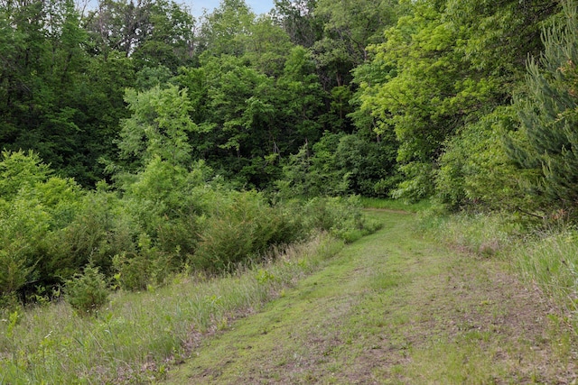 14530 Jonathan Carver Pkwy, Carver, MN 55315 - view of wooded area