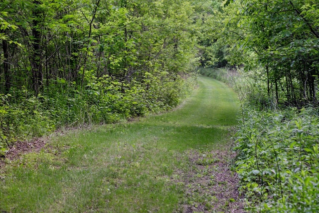 14530 Jonathan Carver Pkwy, Carver, MN 55315 - view of yard with a wooded view