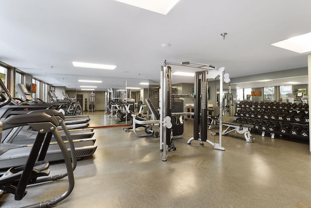 gym with a skylight