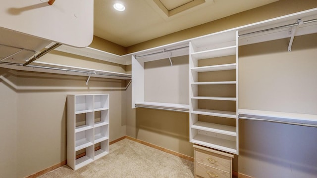 spacious closet featuring carpet flooring