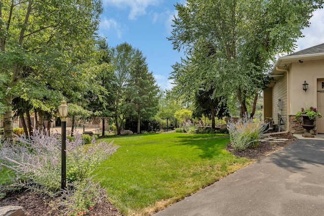 2255 Chelmsford Ln, Saint Cloud, MN 56301 - view of yard