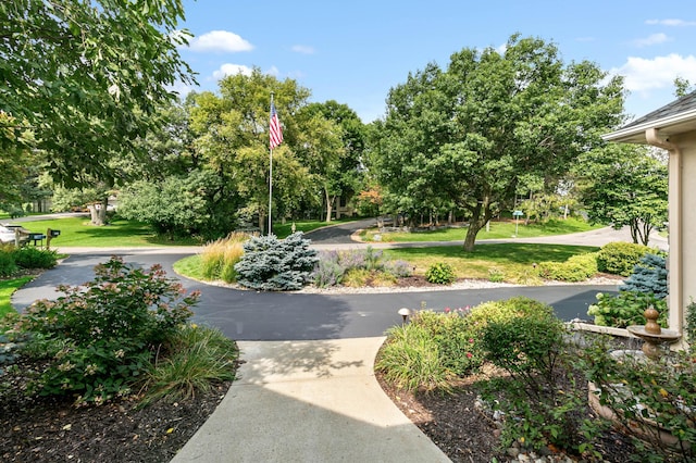 2255 Chelmsford Ln, Saint Cloud, MN 56301 - view of property's community with a yard and view of wooded area