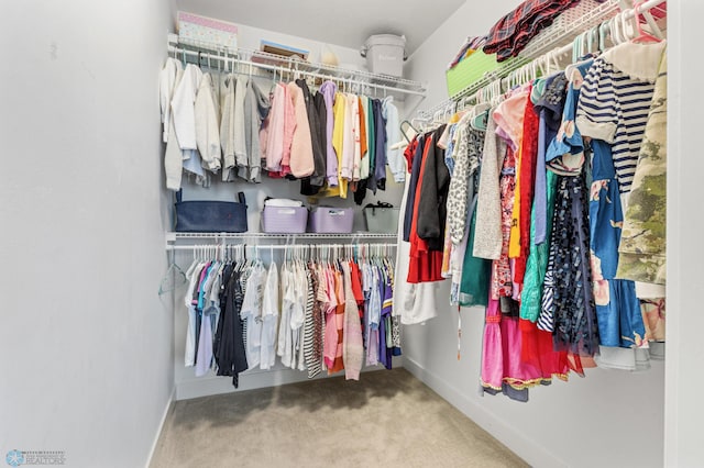 walk in closet featuring carpet