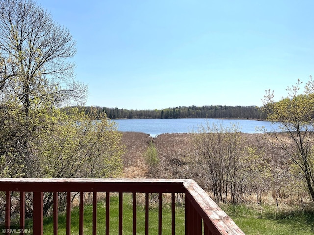 32598 Pioneer Ave, Aitkin, MN 56431 - water view with a heavily wooded area