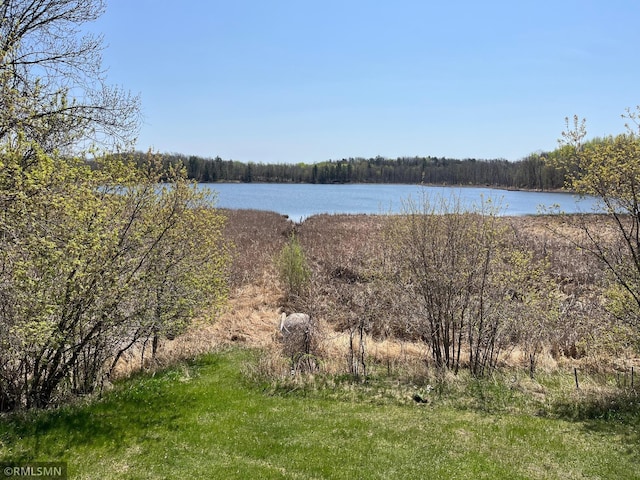 32598 Pioneer Ave, Aitkin, MN 56431 - water view with a forest