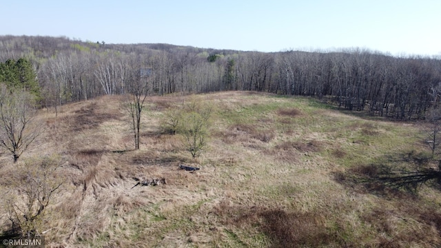 32598 Pioneer Ave, Aitkin, MN 56431 - view of wooded area