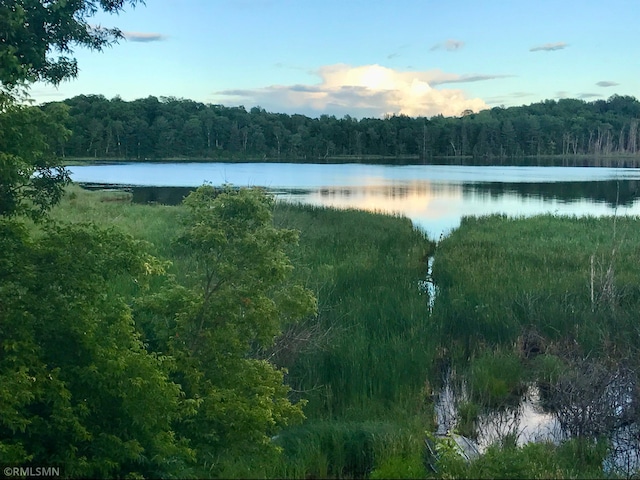 32598 Pioneer Ave, Aitkin, MN 56431 - water view with a heavily wooded area