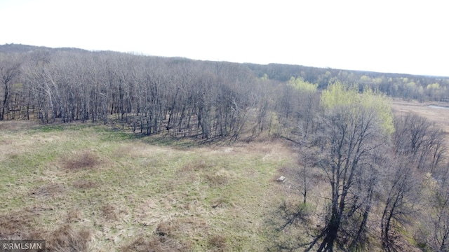 32598 Pioneer Ave, Aitkin, MN 56431 - view of mountain backdrop featuring a heavily wooded area