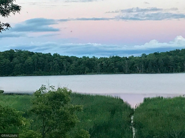 32598 Pioneer Ave, Aitkin, MN 56431 - water view featuring a forest